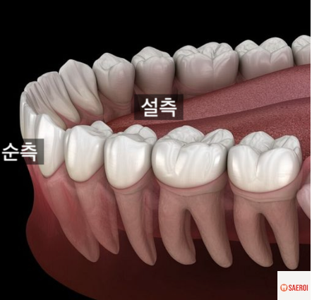 f4a32c3a9279c198fde4fac4e198e1b9_1744263777_3593.png f4a32c3a9279c198fde4fac4e198e1b9_1744263777_3593.png