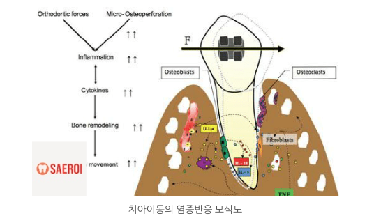 f4a32c3a9279c198fde4fac4e198e1b9_1744265653_6692.png f4a32c3a9279c198fde4fac4e198e1b9_1744265653_6692.png